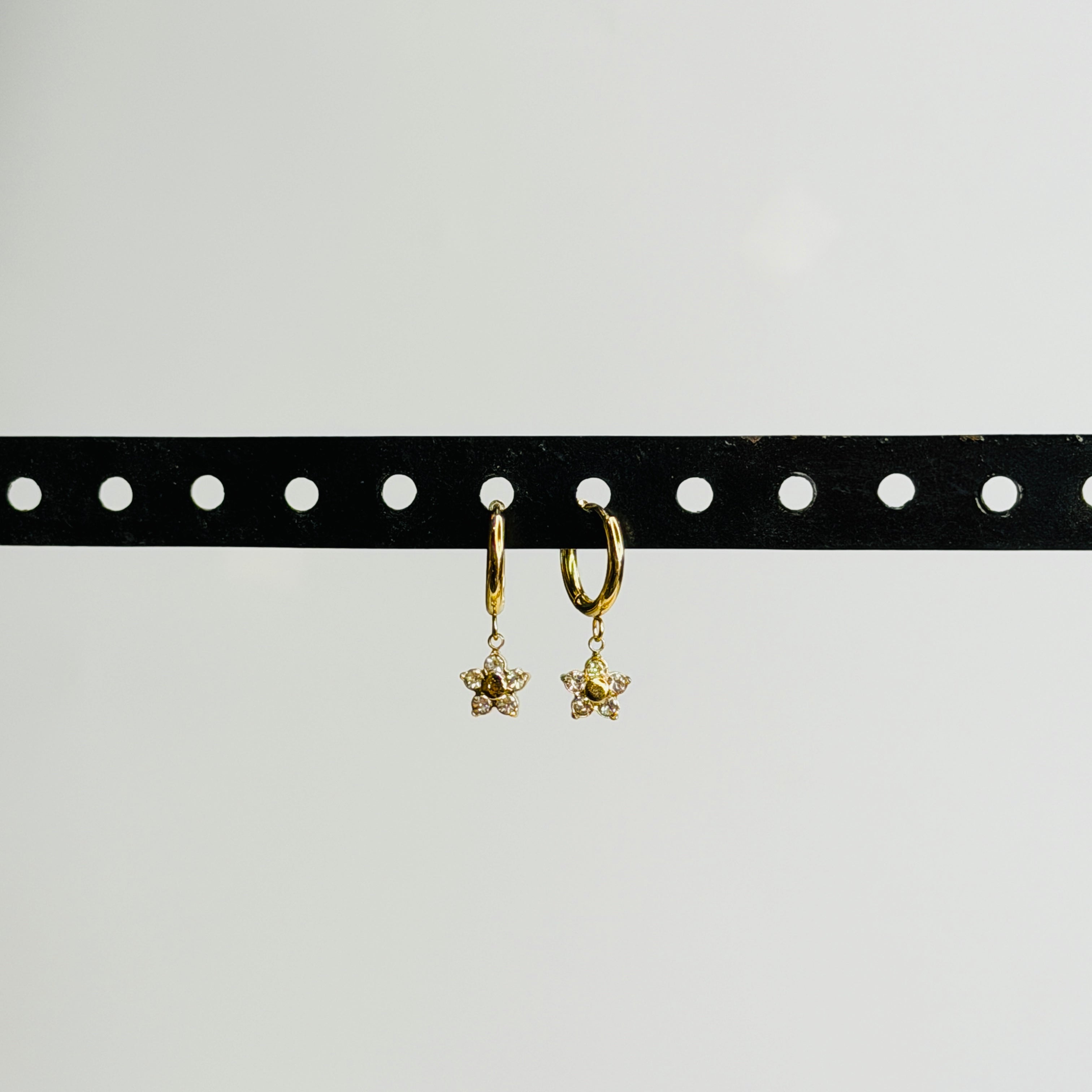 Day Wear Earrings Combo