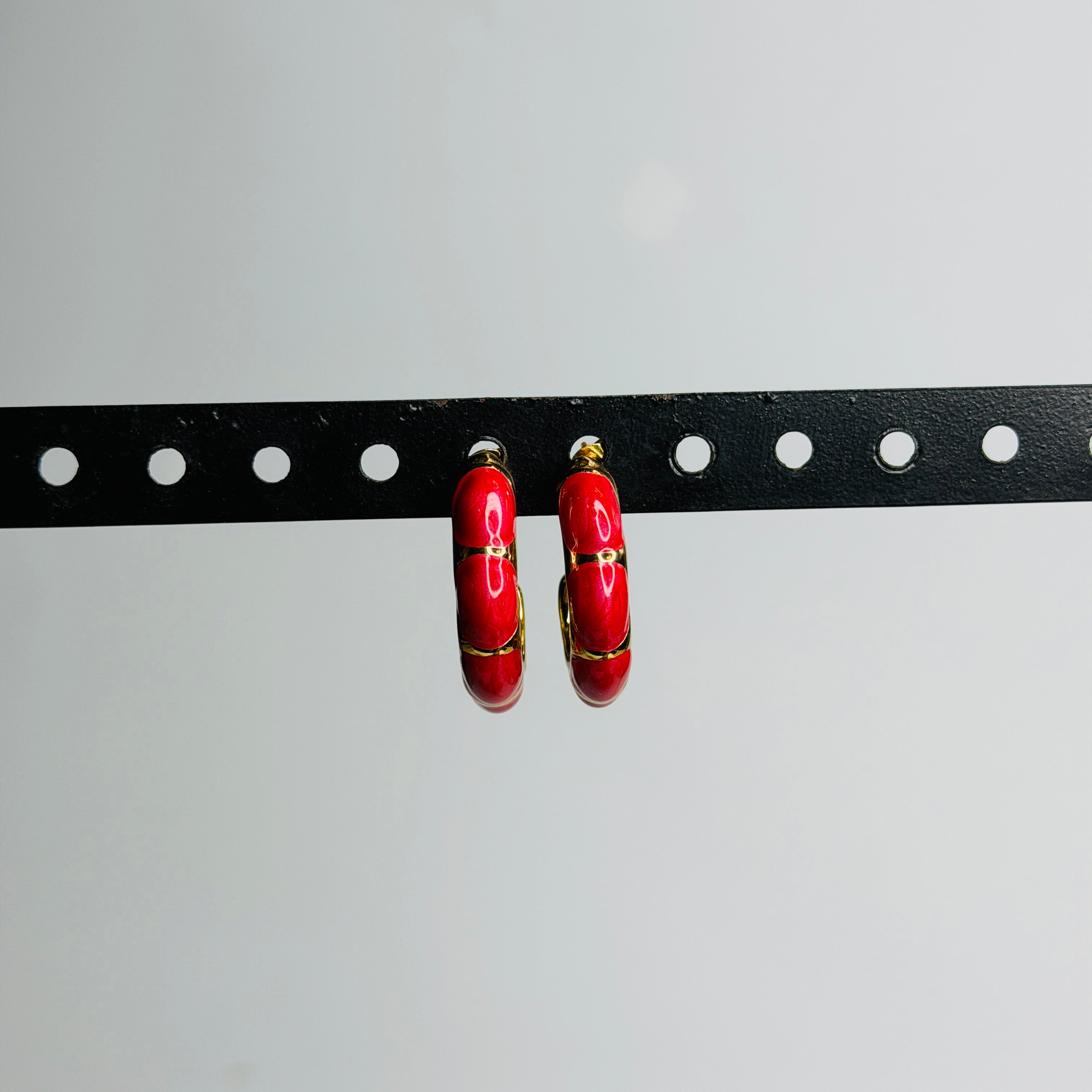 Ruby Glow Charm Earings